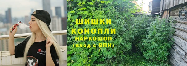 сатива Горно-Алтайск