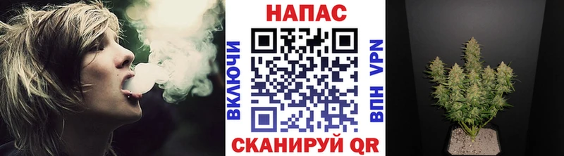 Бошки марихуана гибрид  Королёв 